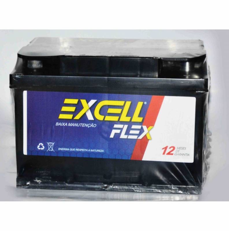 Bateria Excell Flexpower 45 A